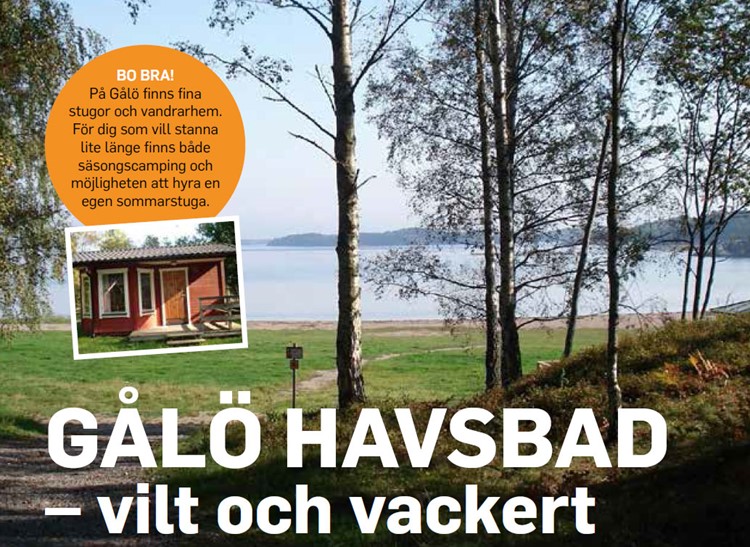 GÅLÖ HAVSBAD – vilt och vackert