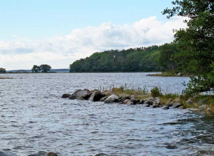 Unik naturupplevelse på Riddersholms Naturreservat