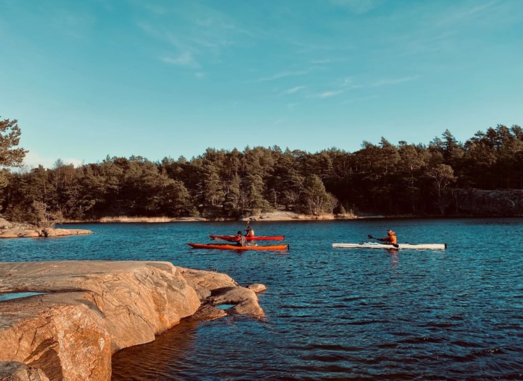 Hyr kajak, SUP & cykel i Trosa