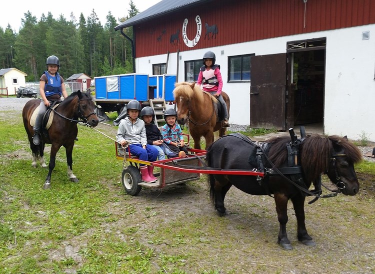 Haga gård och stall-Gården