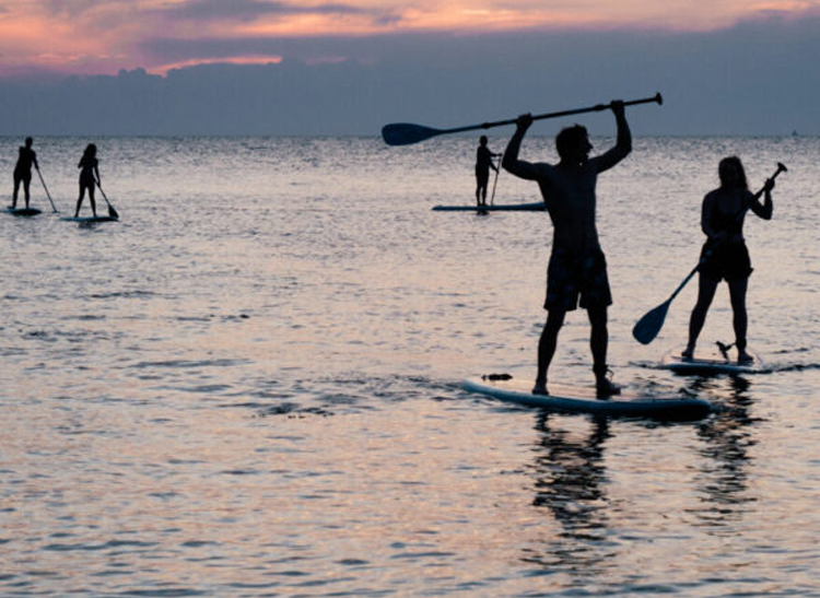Aktiviteter & upplevelser på Waxholms Camping