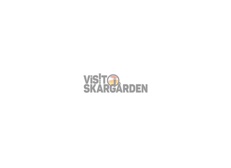 Tävlingar